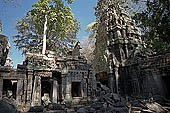 Ta Prohm temple